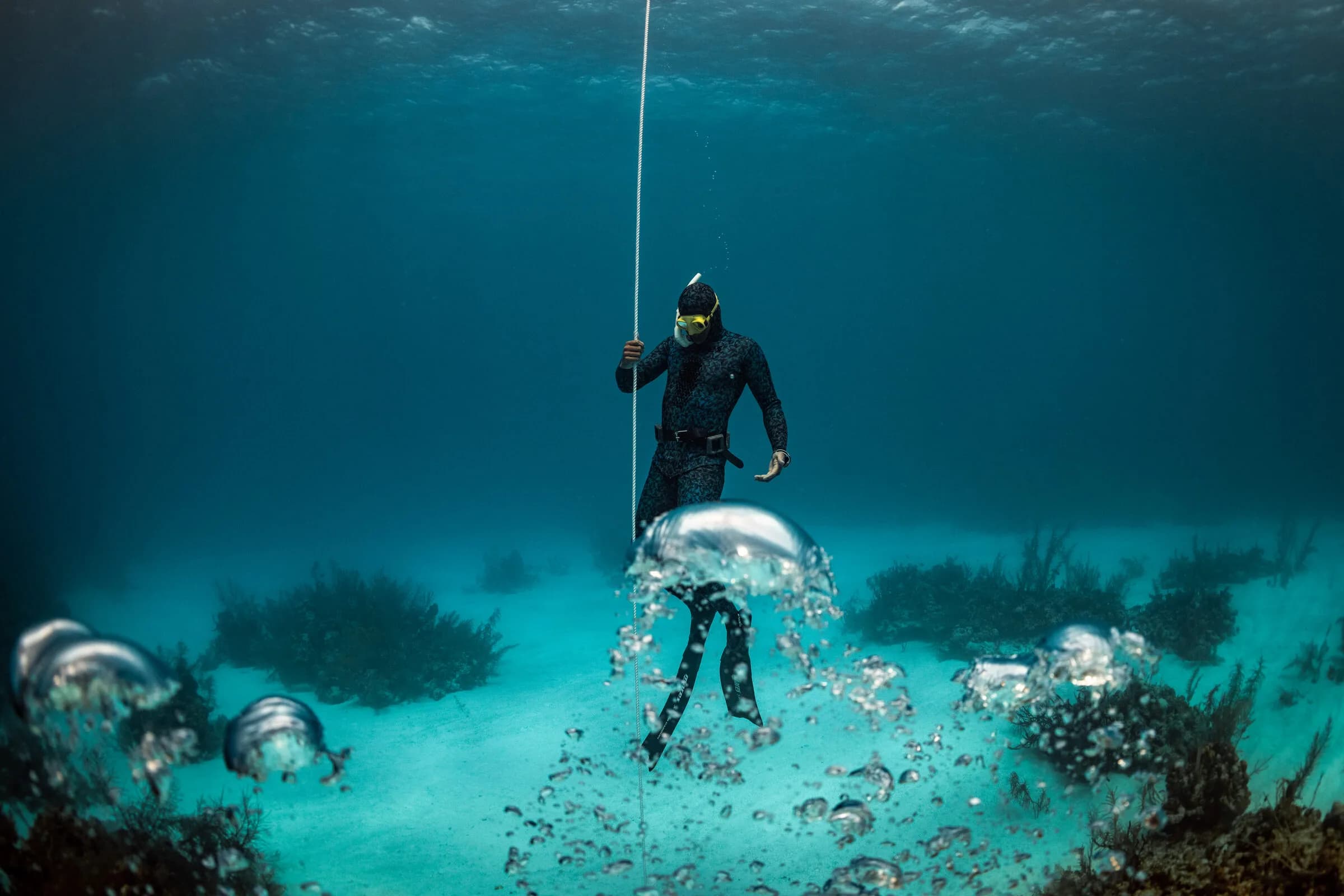 Freediver Level 1 SSI