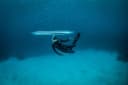 Apnée / Freediving