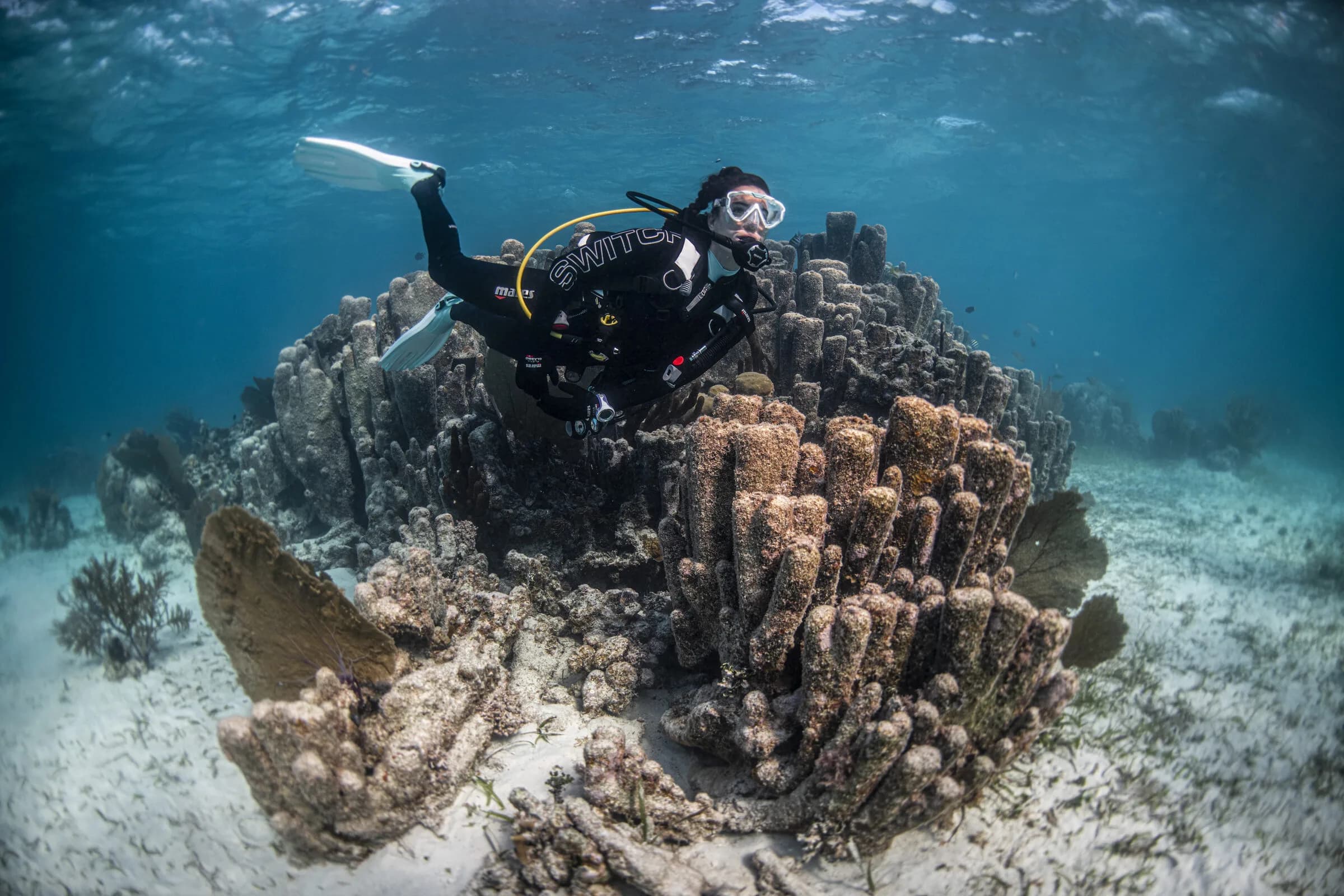 Open Water Diver + Navigation SSI