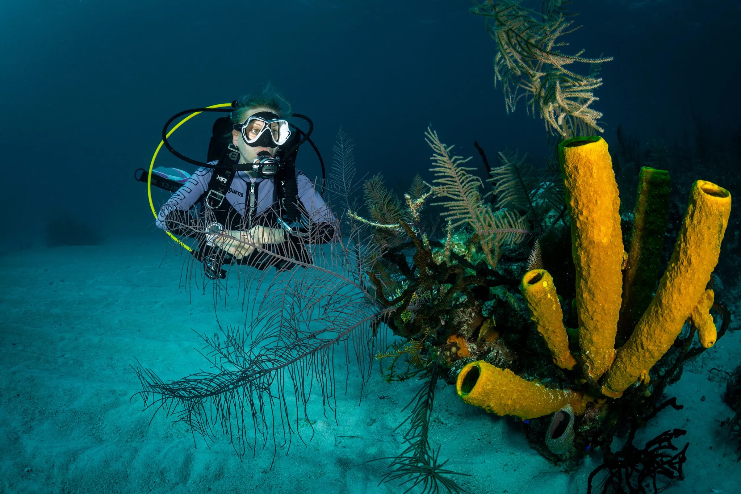 Open Water Diver + Computer SSI